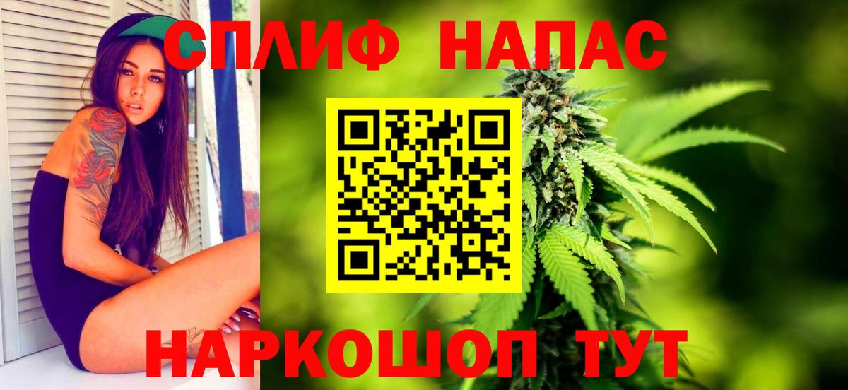 МАРИХУАНА план  МАРИХУАНА MAZAR  Рассказово  Шишки марихуана сатива  Вход с VPN  Конопля гибрид 